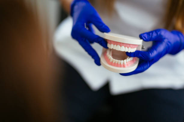 Best Dental Fillings (Composite and Amalgam)  in Tuscoosa, AL